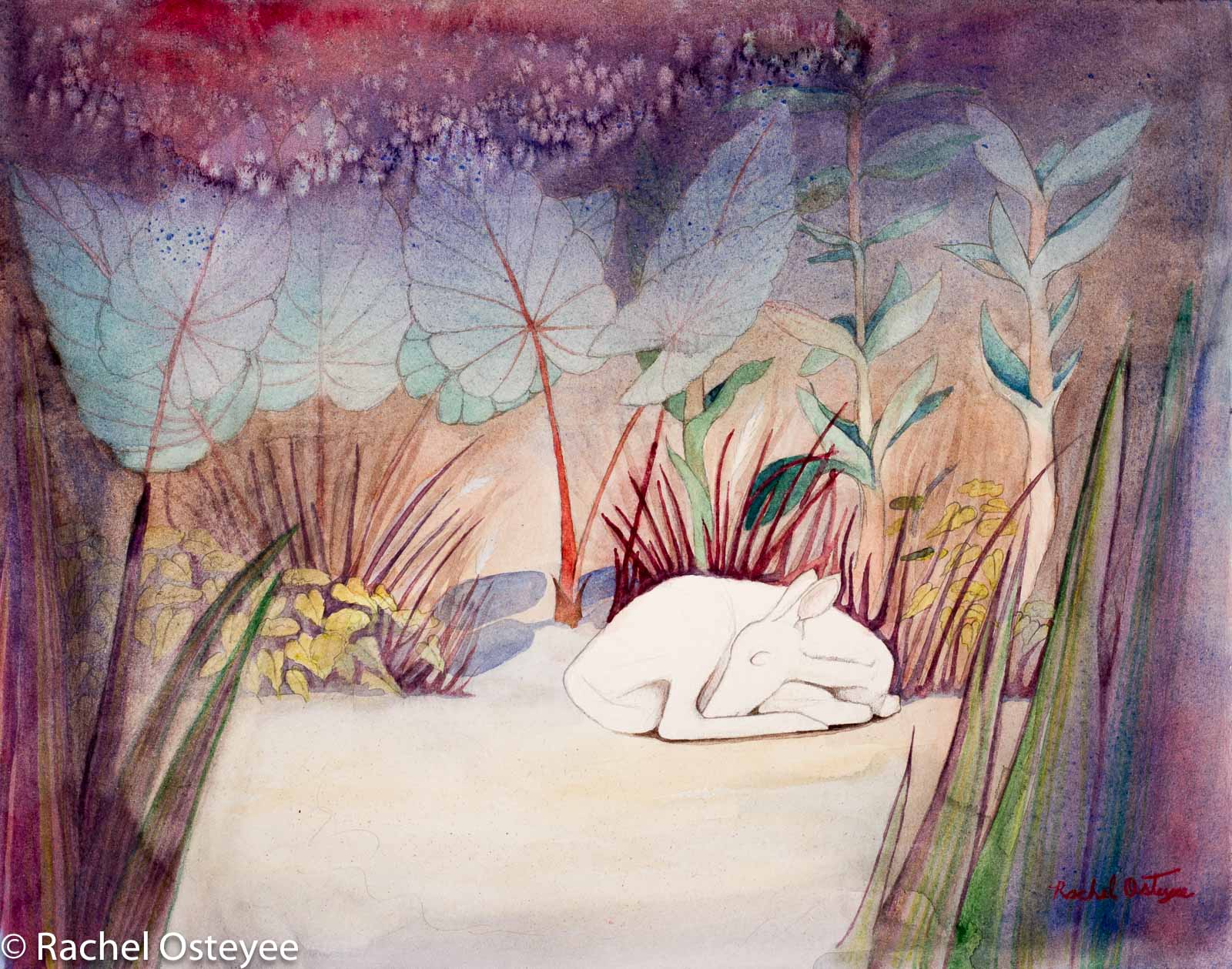 White Doe Dreaming (20" x 16", Watercolor, Commissioned Work)
