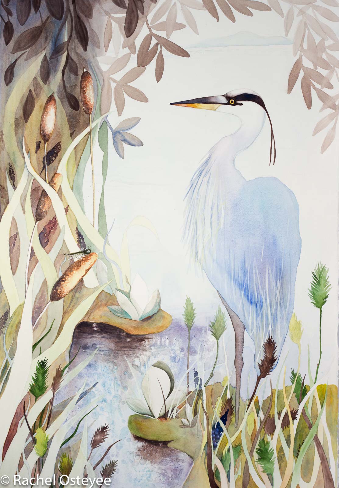 Heron (20" x 30", Watercolor, Commissioned Work)