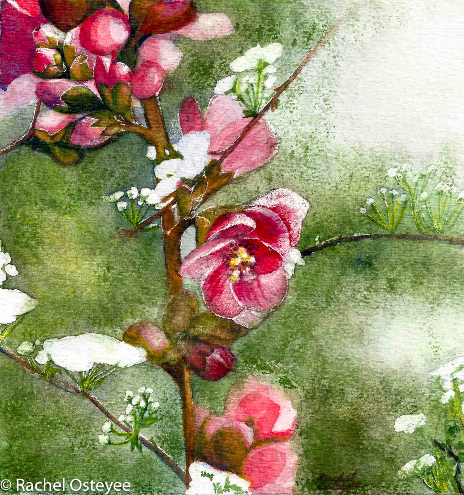 Four Seasons - Spring (6" x 6", Watercolor)