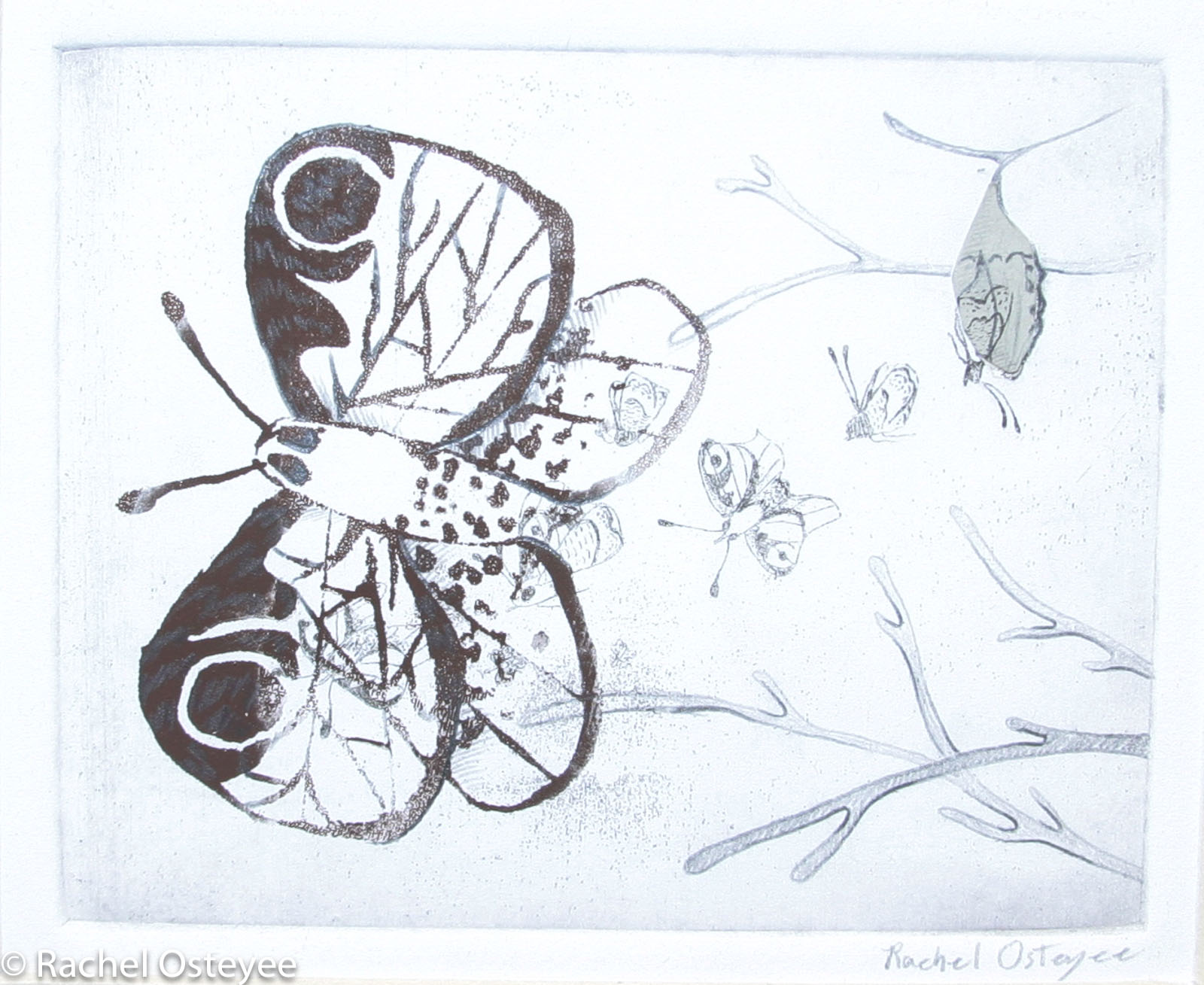 Moth (5" x 4", Etching and Serigraphy)