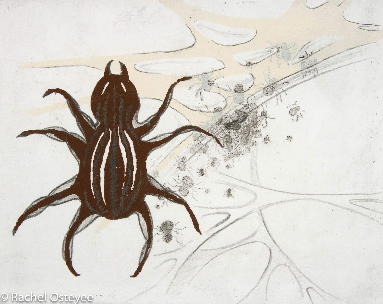 Spider (5" x 4", Etching and Serigraphy)